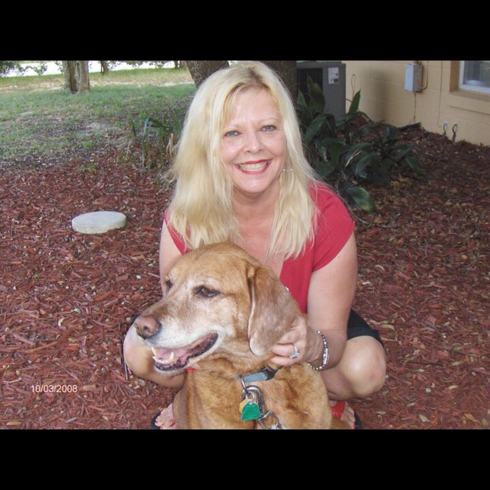 Meet your Posher, Donna